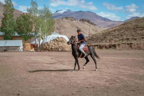 Hammamet: Nature Horse Riding Experience in the Hills