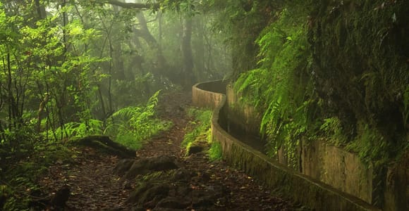 Ribeiro Frio / Portela Full day hike