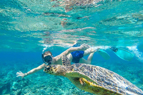 Amed: Exclusive Private Snorkeling to 4 Best Spots