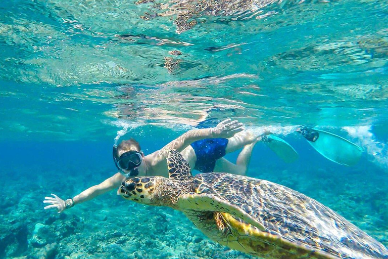 Amed: Exclusive Private Snorkeling to 4 Best Spots