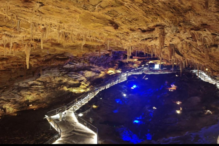 Nanjing: Ape Man Cave Entry Ticket Ape Man Cave Entry Ticket+English-Speaking Guide