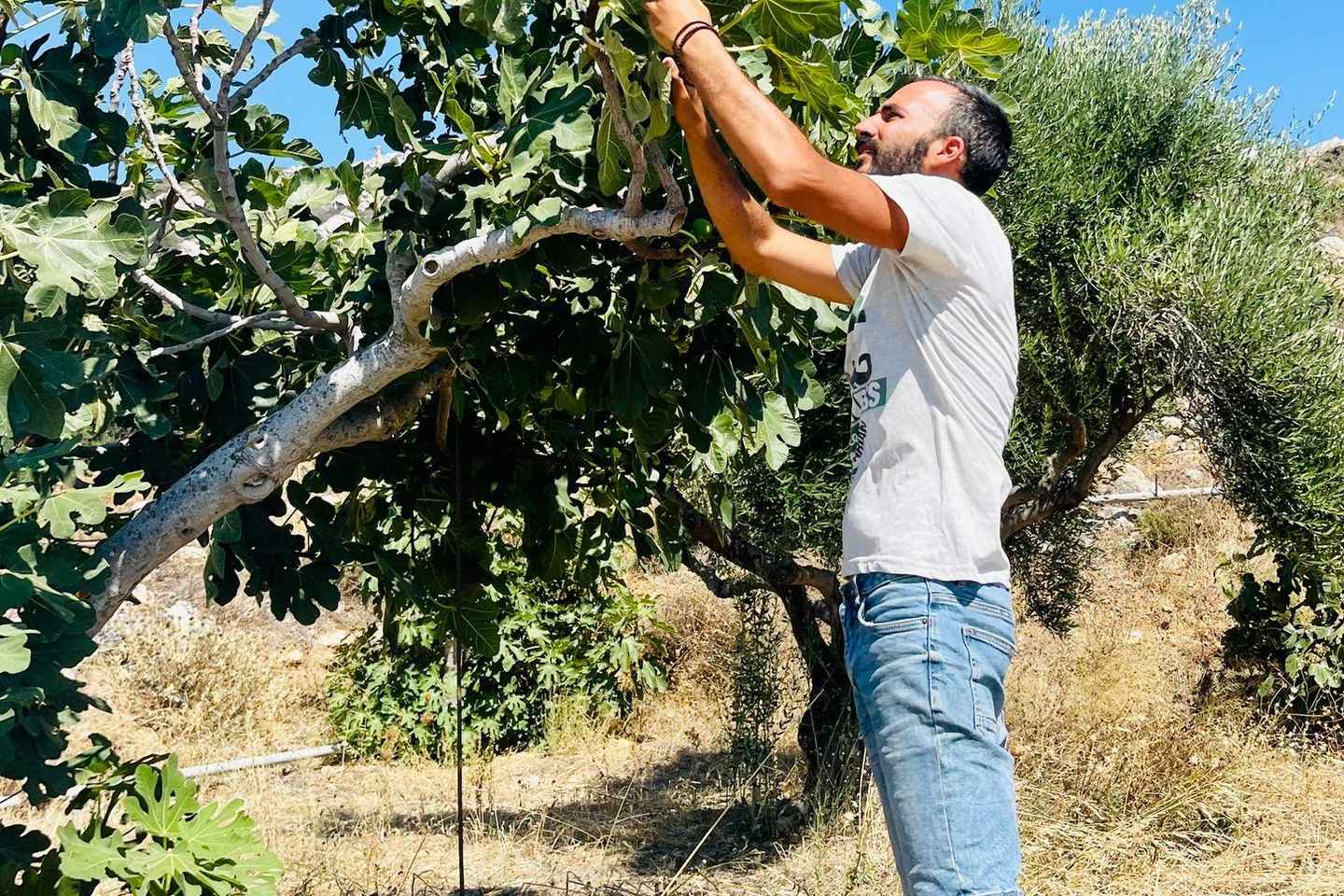 「ナクソスで楽しむペリヴォリ農場と薪料理教室」