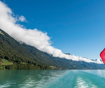 From Milan: Interlaken & Swiss Alps Day Trip