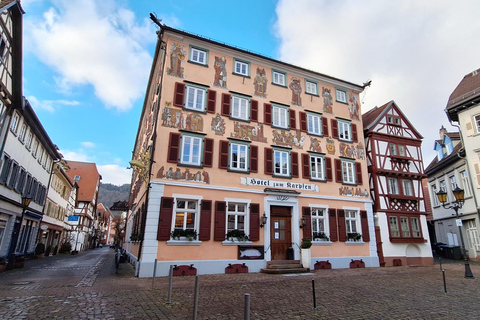 Heidelberg: Neckar River, Cave, Odenwald – Active Highlights Discovery Tour
