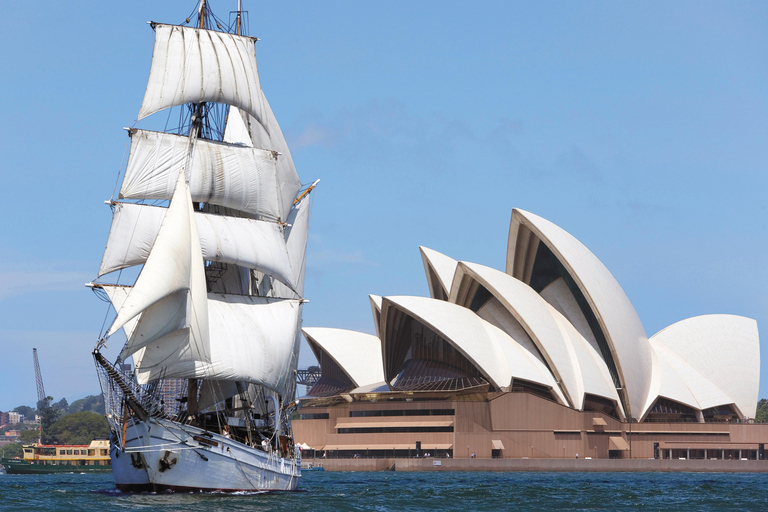 Sydney Harbour: Tall Ship Boxing Day Cruise - Soren Larsen