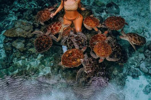 Zanzibar: Jozani Forest, Salaam Cave & Mtende Beach Tour Private Tour With Transfer But Entry Fees are not Included