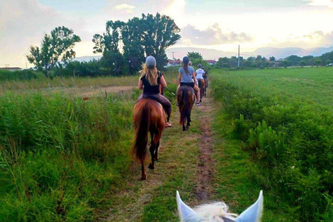 Zakynthos: Horse Riding Swimming Experience