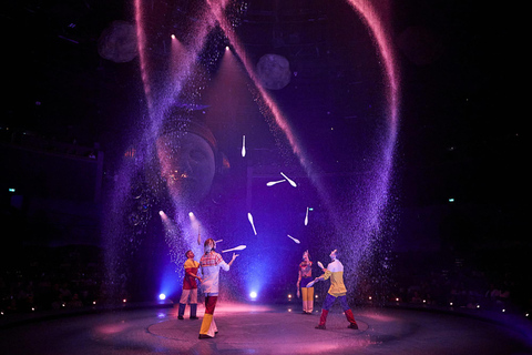 Cirque du Soleil LUDÕ — Vallarta Premium Balcony Experience: Show, Champagne, and Canapés