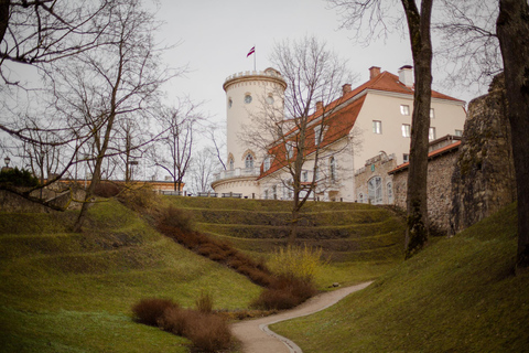 Sightseeing Transfer from Riga to Tallinn