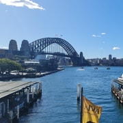 Sydney: City Sights Walking Tour