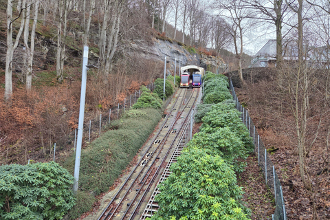 Bergen: Hike & Explore the area of Mount Fløyen