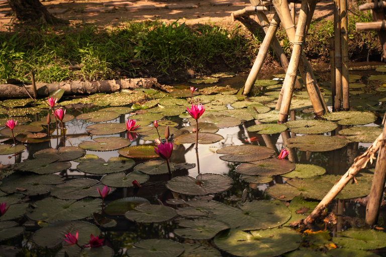 Mekong Adventure: 3 Days from Delta optional to PhnomPenh OPTIONAL: EXIT TO PHNOM PENH