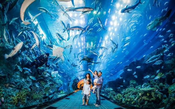 Dubai Aquarium and Underwater Zoo: Tagesticket