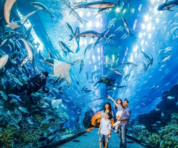 Dubai: Aquarium and Underwater Zoo Day Entry Ticket