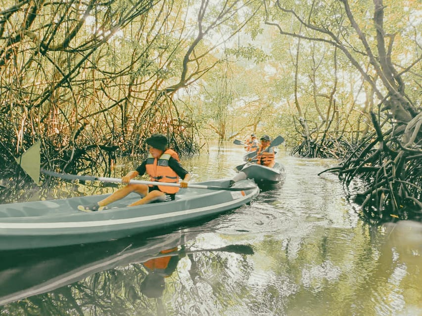 1000 Top Activities in Bali (2025) with Reviews