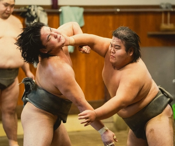 Tokyo: Sumo Morning Practice Tour at Sumida City