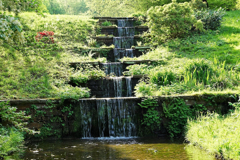 Tour privato di un giorno intero nella Foresta Nera di Baden