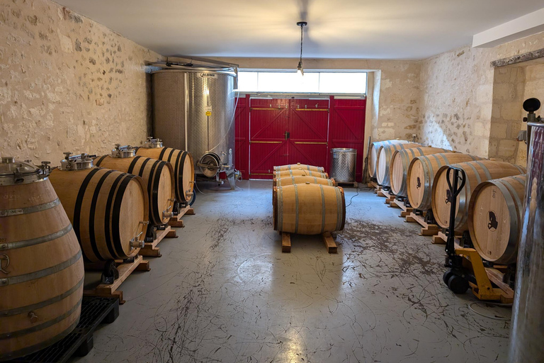 Blaye: the secrets of Blaye, wine, art, history and old cars