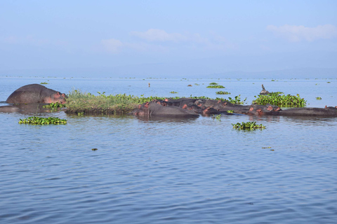 Lake Naivasha Tour: Kayak, Bike & Hike Through Hell's Gate! Lake Naivasha and Hell's Gate (from Naivasha)