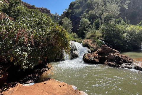 Marrakesh: Ouzoud Falls &amp; Mountain Guided Hike &amp; Boat Ride