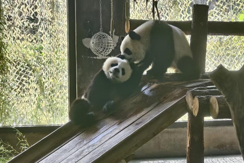 Shanghai Wild Animal Park: Safari Adventure Entry Pass Shanghai Wild Animal Park Full-Day Ticket