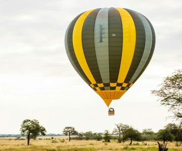 3-Daagse safari naar Serengeti & Ngorongoro + ballonvaart