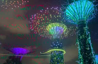 Singapur: Nachtkreuzfahrt mit Garden Rhapsody und Spectra