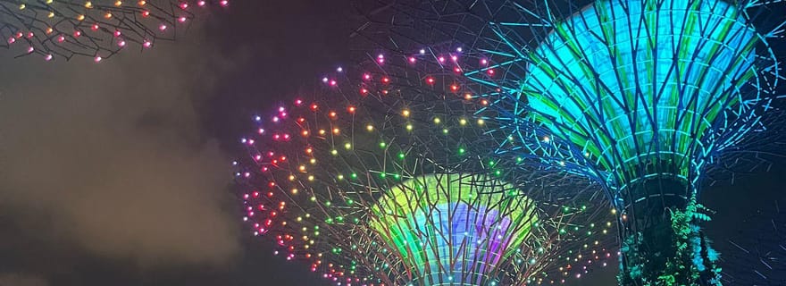 Croisière nocturne à Singapour avec Garden Rhapsody et Spectra