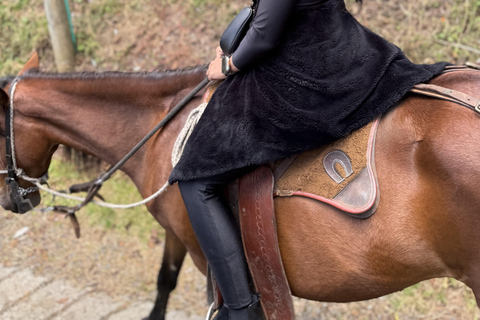 麦德林：山间骑行