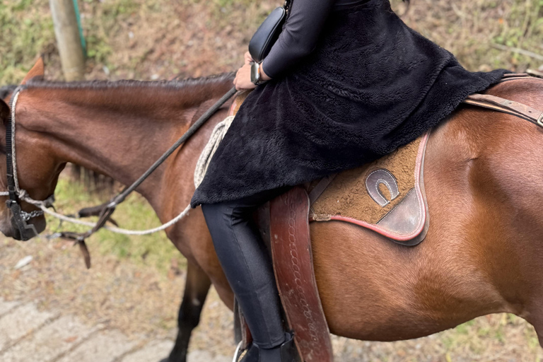 麦德林：山间骑行