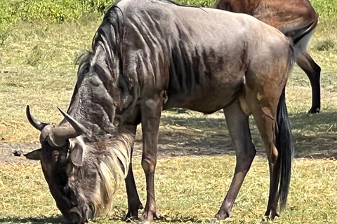 "Lake Naivasha Day Trip & Scenic Boat Ride Adventure"