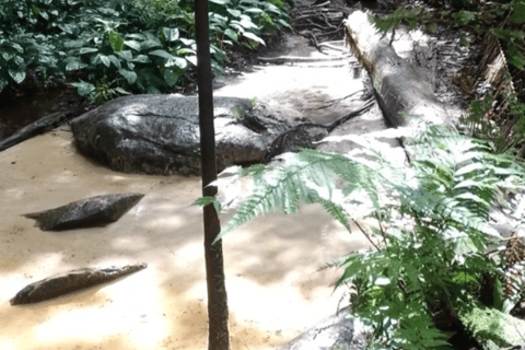 Execução Privado Caverna do Maroaga e Gruta da Judéia