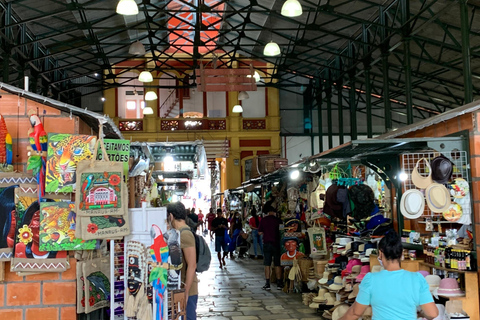 Manaus: Historical City Tour Historical City Tour