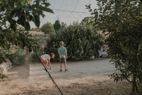 Aix-en-Provence: Visit a Lavender Field + Snacking at TERRE UGO Aix-en-Provence: Visit a Lavender Field + Snacking TERRE UGO