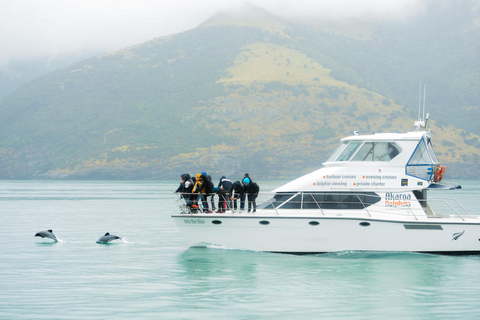 From Christchurch: Akaroa Day Tour with Nature Cruise