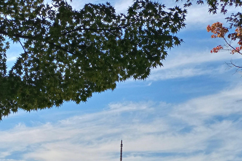 Visite privée de Hiroshima et de l&#039;île de Miyajima : histoire et natureVisite privée d&#039;Hiroshima et de l&#039;île de Miyajima : histoire et nature