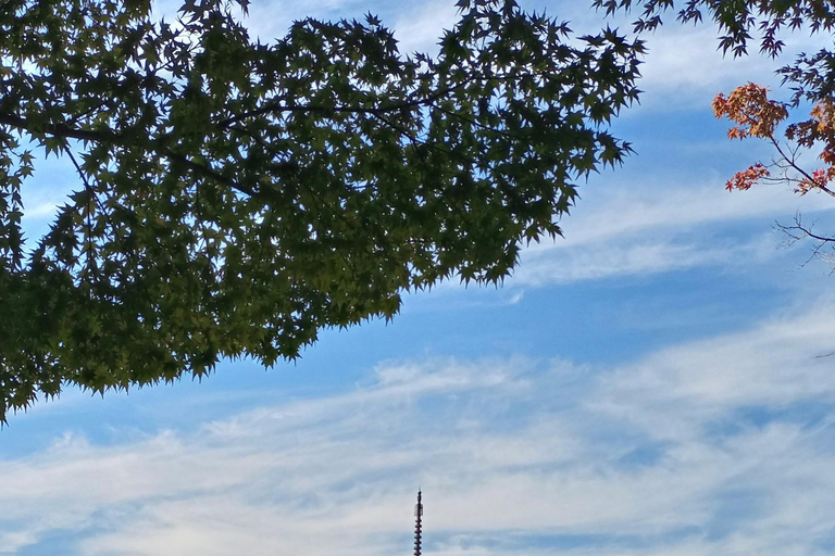Visite privée de Hiroshima et de l&#039;île de Miyajima : histoire et natureVisite privée d&#039;Hiroshima et de l&#039;île de Miyajima : histoire et nature