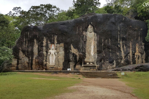 Sri Lanka: 15-dagars Grand Tour med semestertid