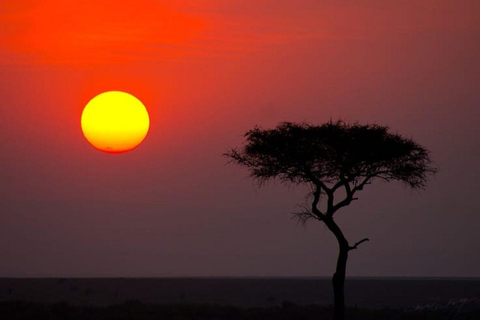 Nairobi National Park Evening Game Drive & sundowner Nairobi National Park Evening Game Drive & sundowner - VAN
