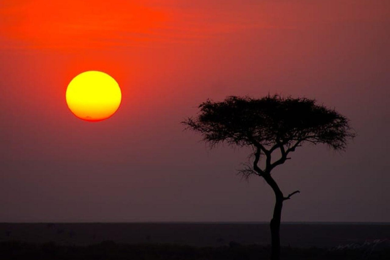 Nairobi National Park Evening Game Drive & sundowner Nairobi National Park Evening Game Drive & sundowner - VAN