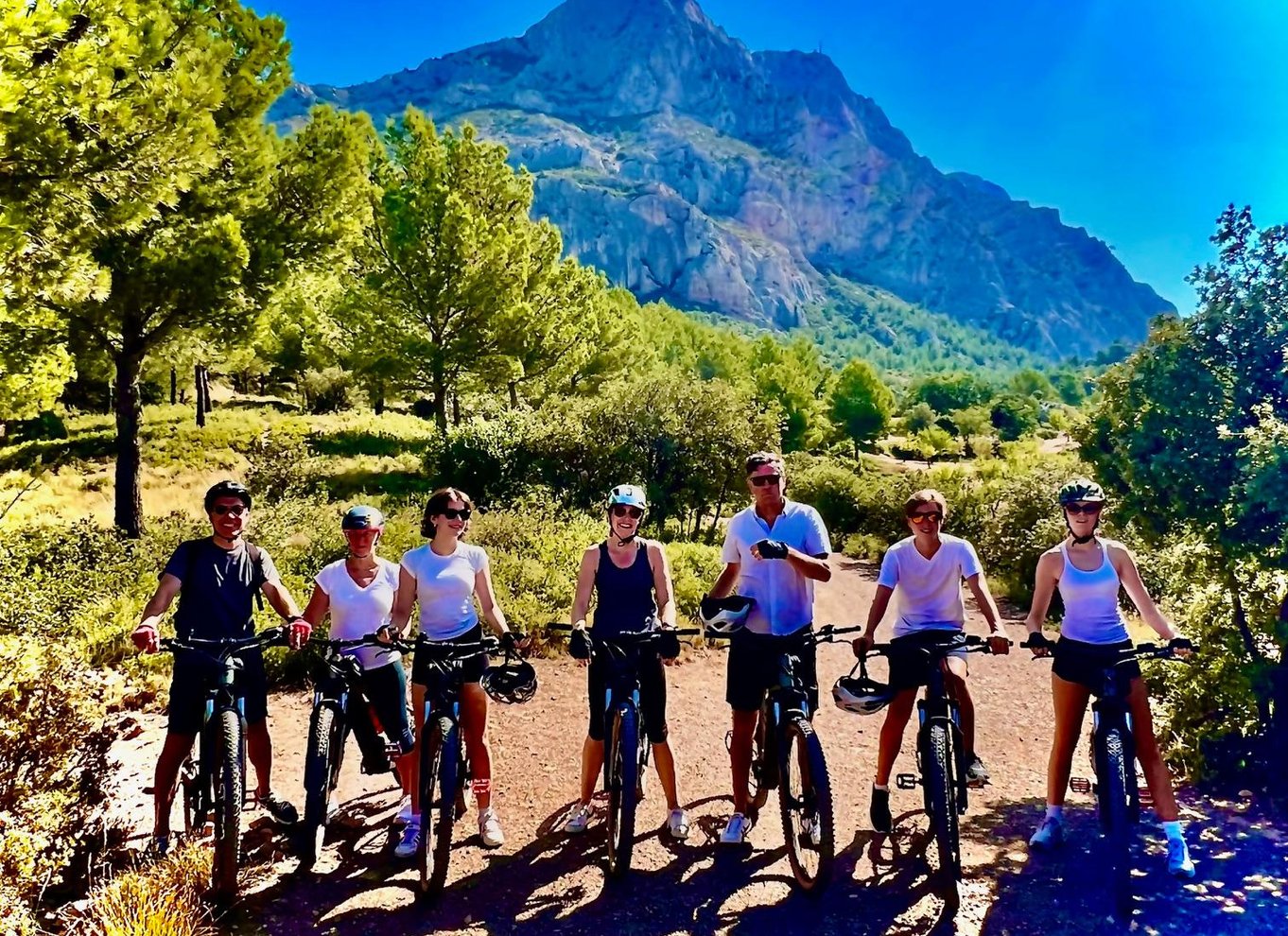 Aix-en-Provence: E-Bike-tur til Mount Sainte-Victoire