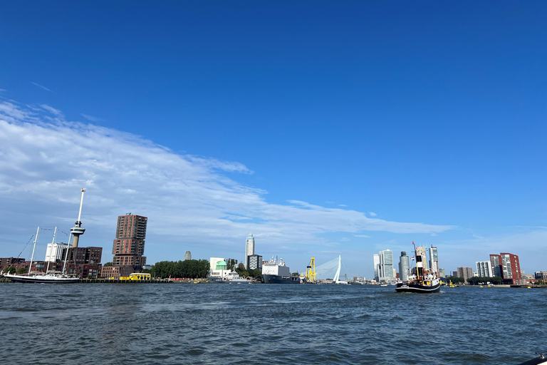 Schipluiden: Private Boat Tour to Rotterdam