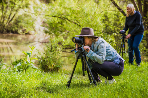 Adelaide Hills: Visita fotográfica com café