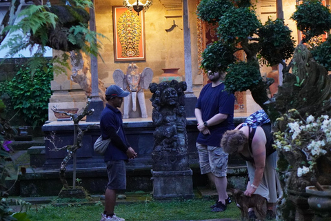 Bali: Magical Night Firefly Tour & Authentic Culture insight