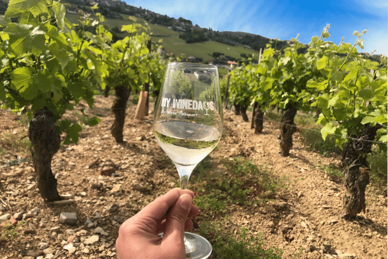 Paris: Prestige Sancerre Wine Tour with 10 Tastings & Lunch