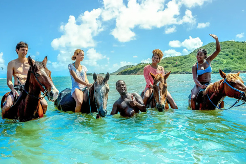 Punta Cana: Horseback Riding Adventure with Transfers
