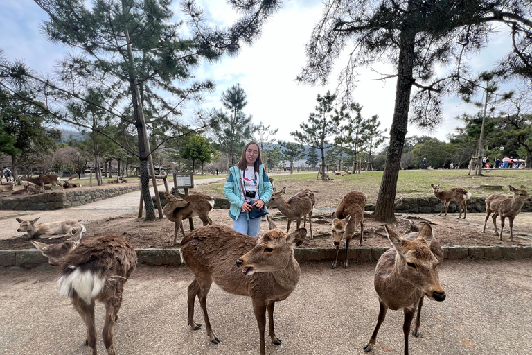 Da Osaka/Kyoto:Tour privato di un giorno Kyoto-NaraDa Osaka/Kyoto:Tour privato di Kyoto~Nara con escursione giornaliera