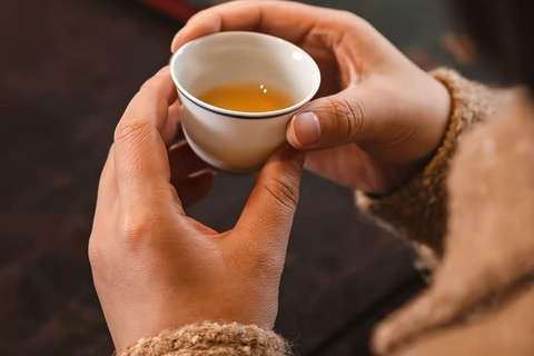 Guangzhou: Traditional Chinese Medicine Wellness Experience