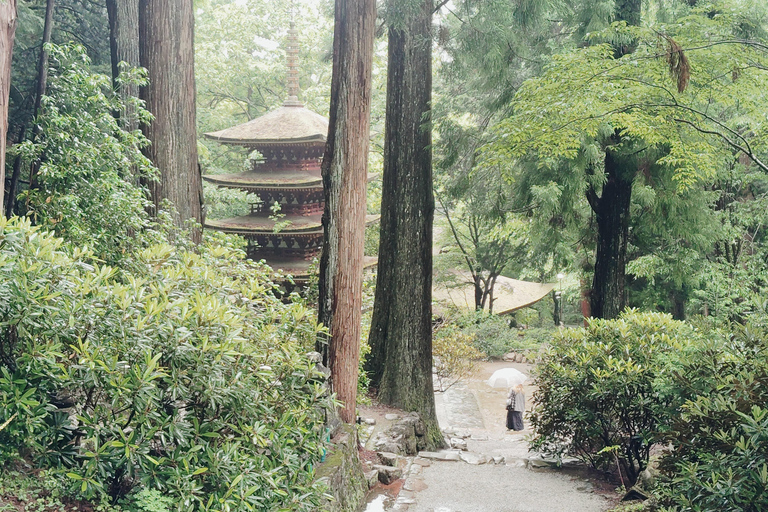 Nara: Muro-ji Temple – Serenity, Tradition and Sacred Beauty
