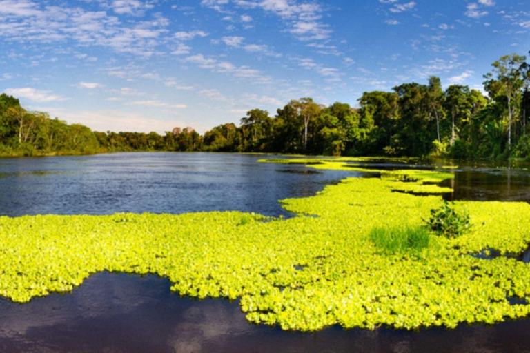 Dia inteiro na Reserva Pacaya Samiria | Vida selvagem